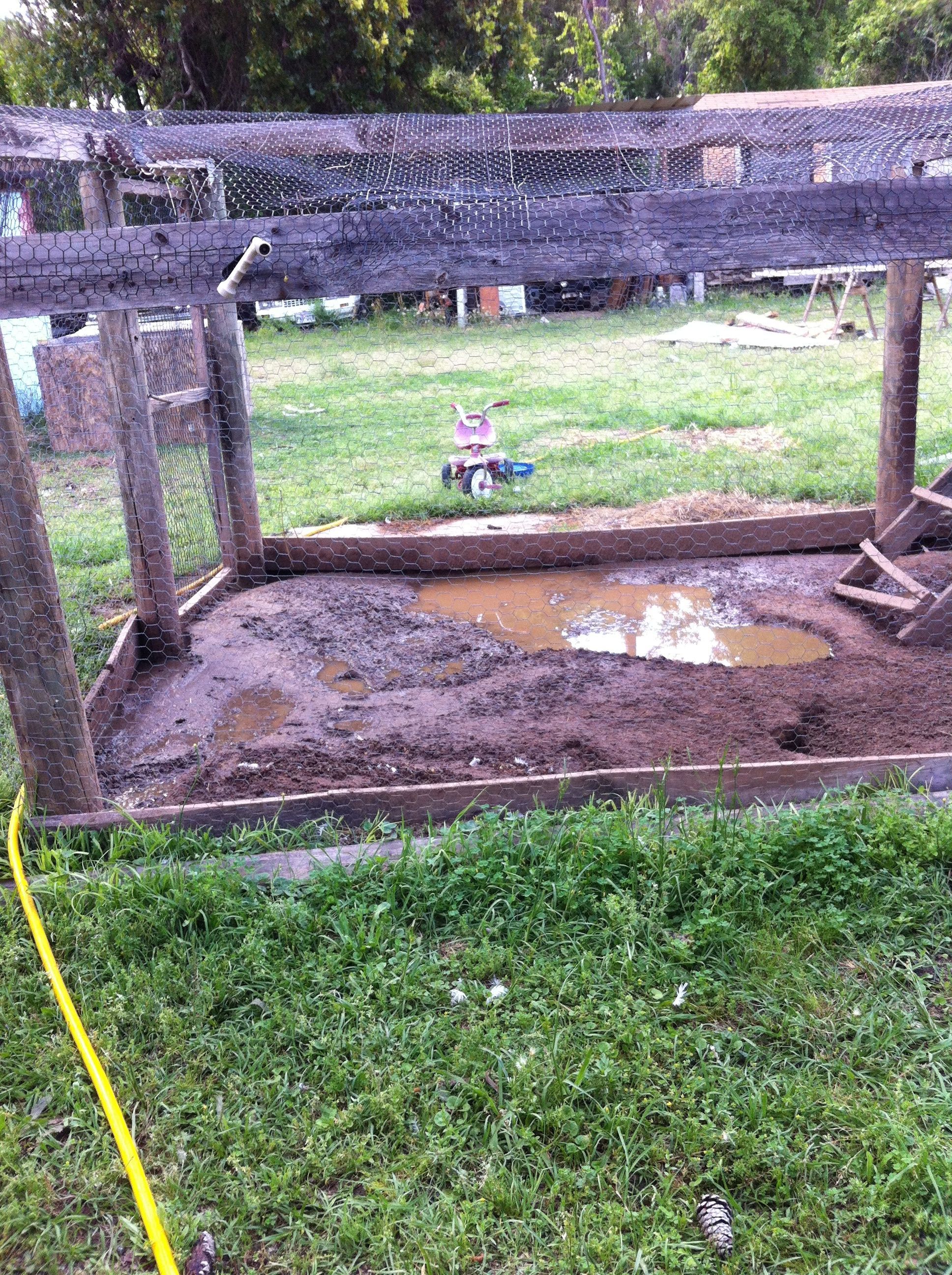 They dug a hole in the middle of the cage, so when it rains they got a pond. Can't wait to tare this down and make a tomato patch!! :D