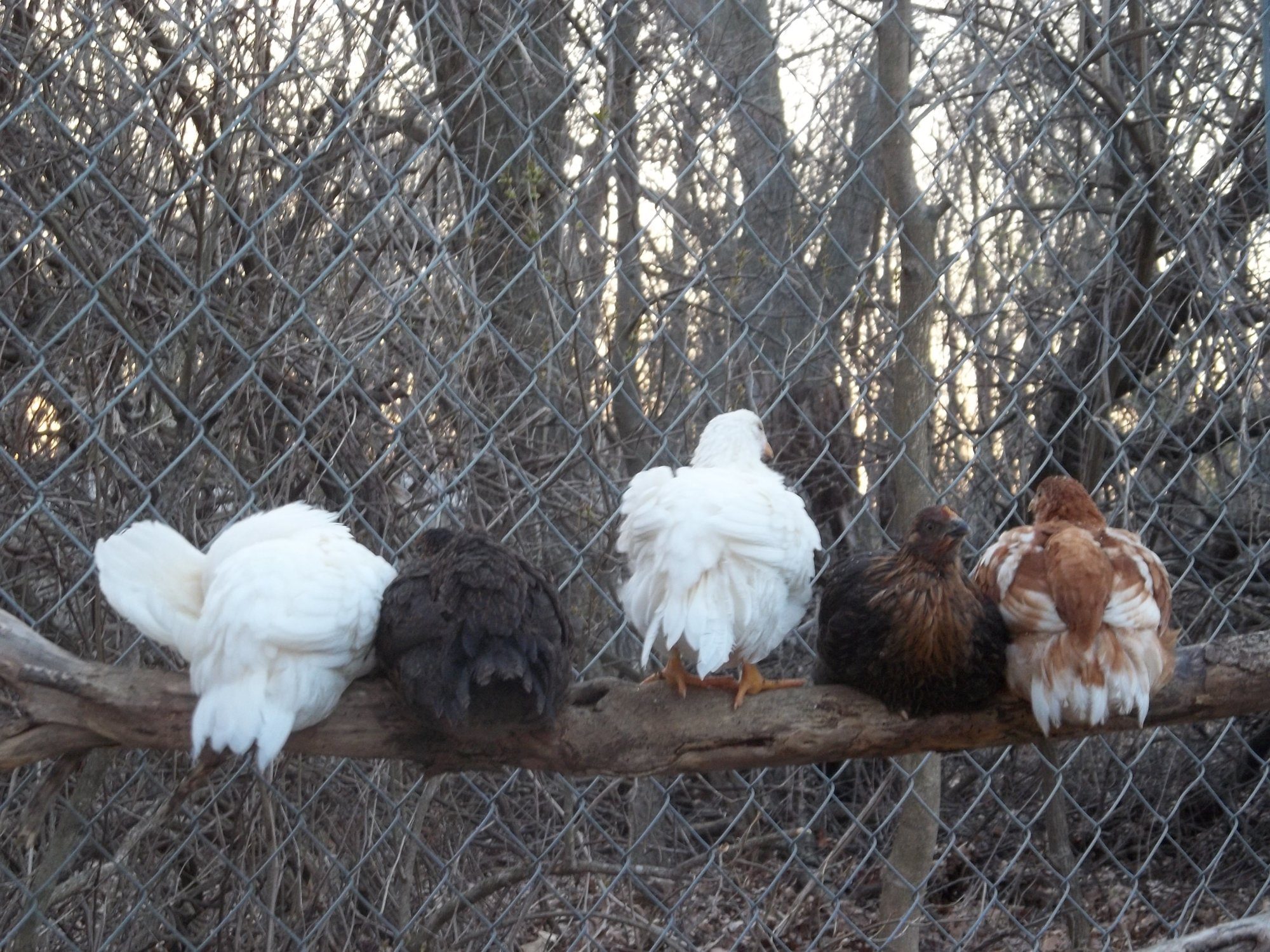 They got tired of looking at me I guess!