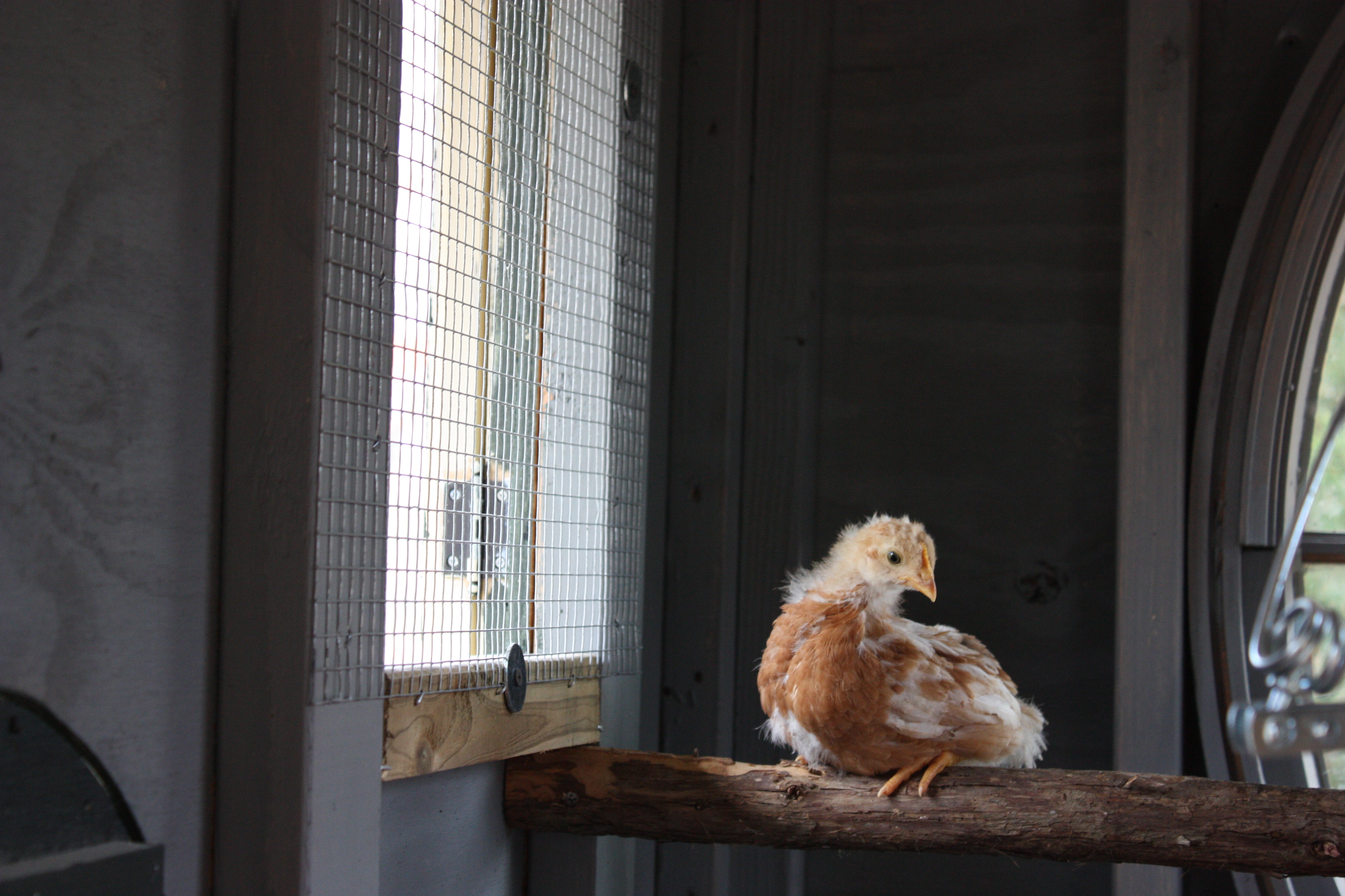They like the fresh air that comes in the window and of course the view.