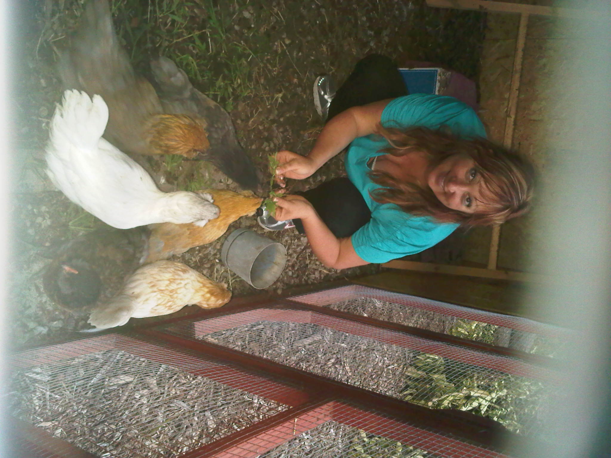 They love it when I pick the grass and hand feed them.  They think they are getting something special.  LOL
