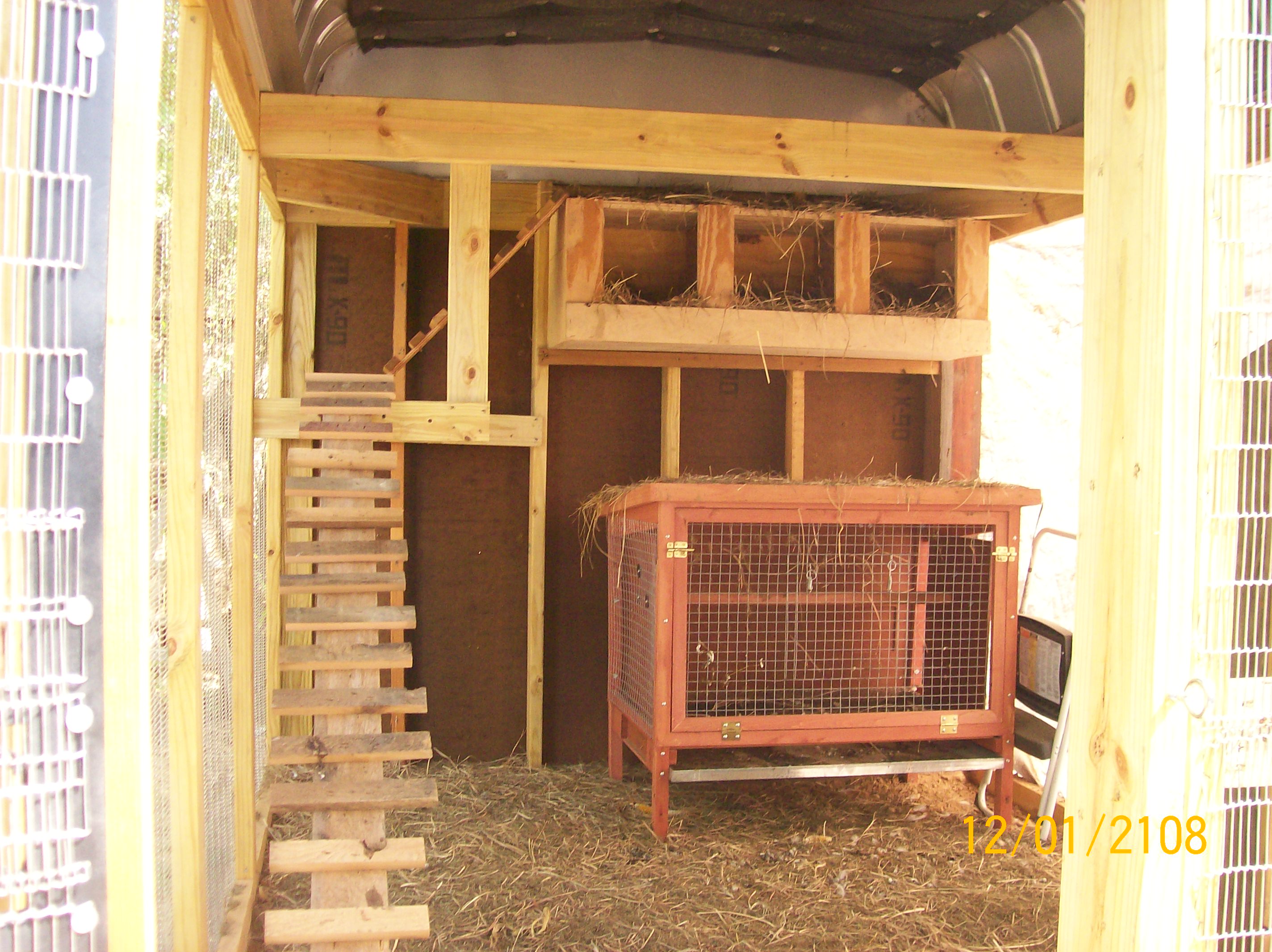 they love their new coop