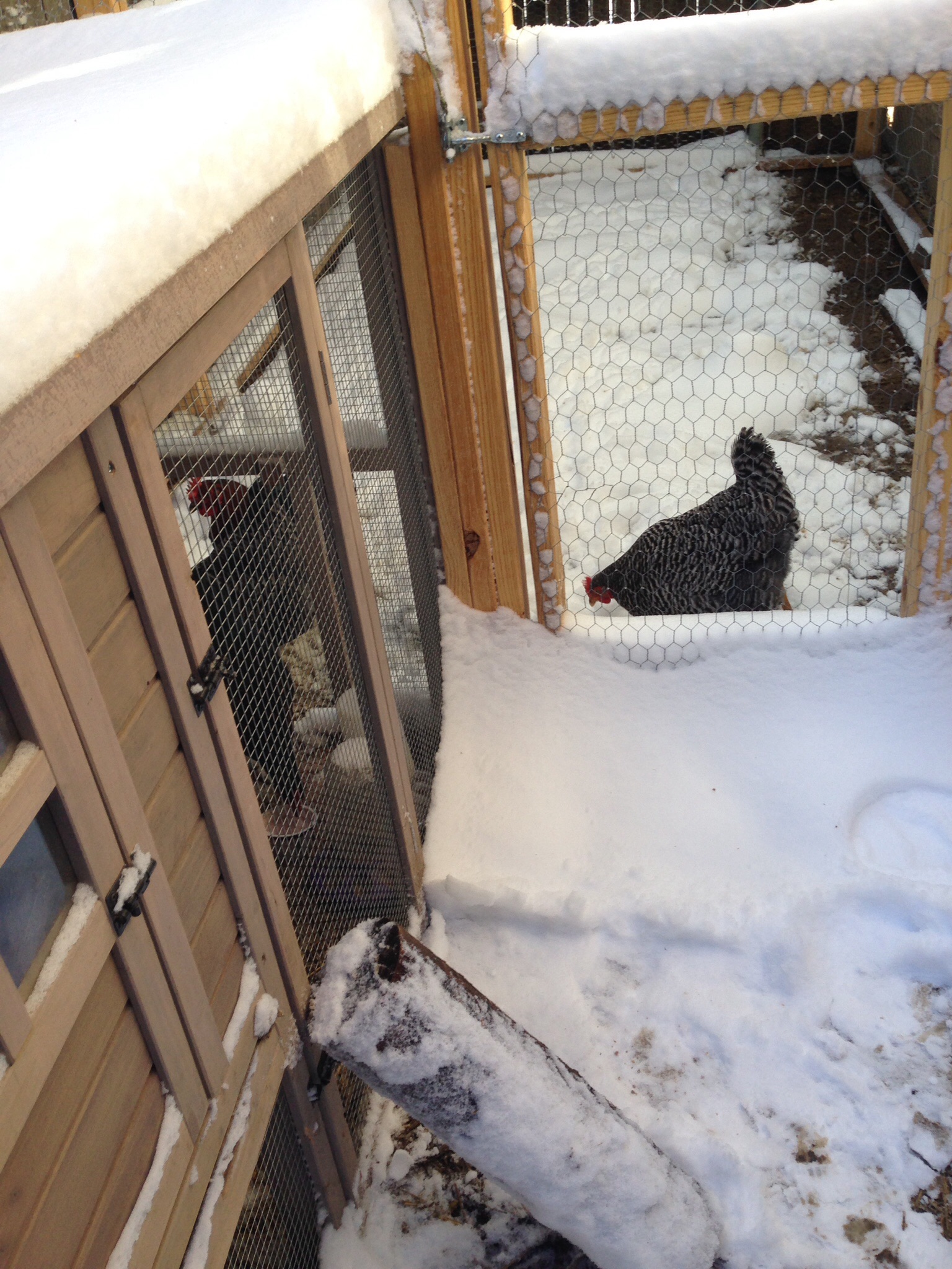 They seem to be doing ok.