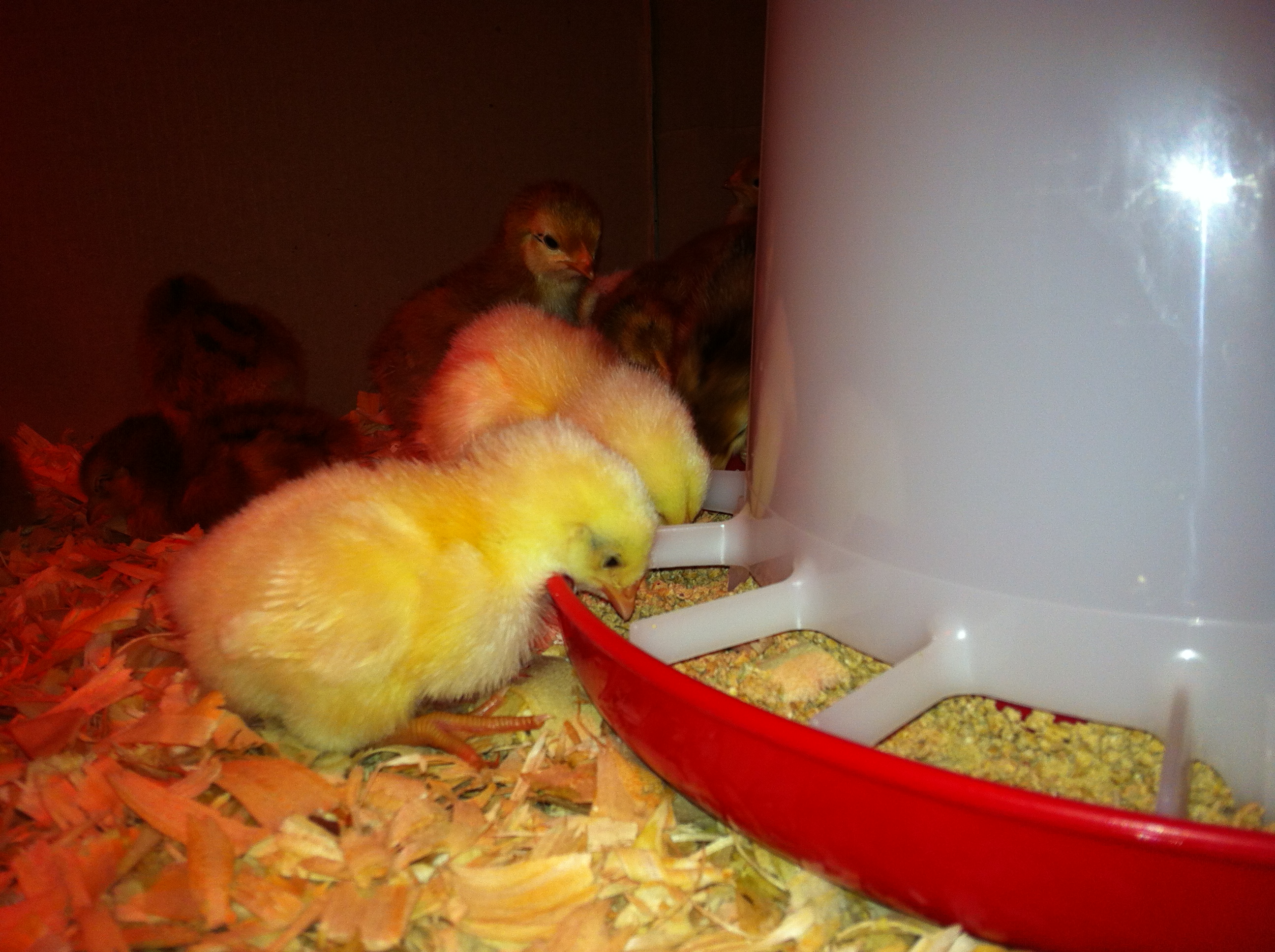 They settled in nicely