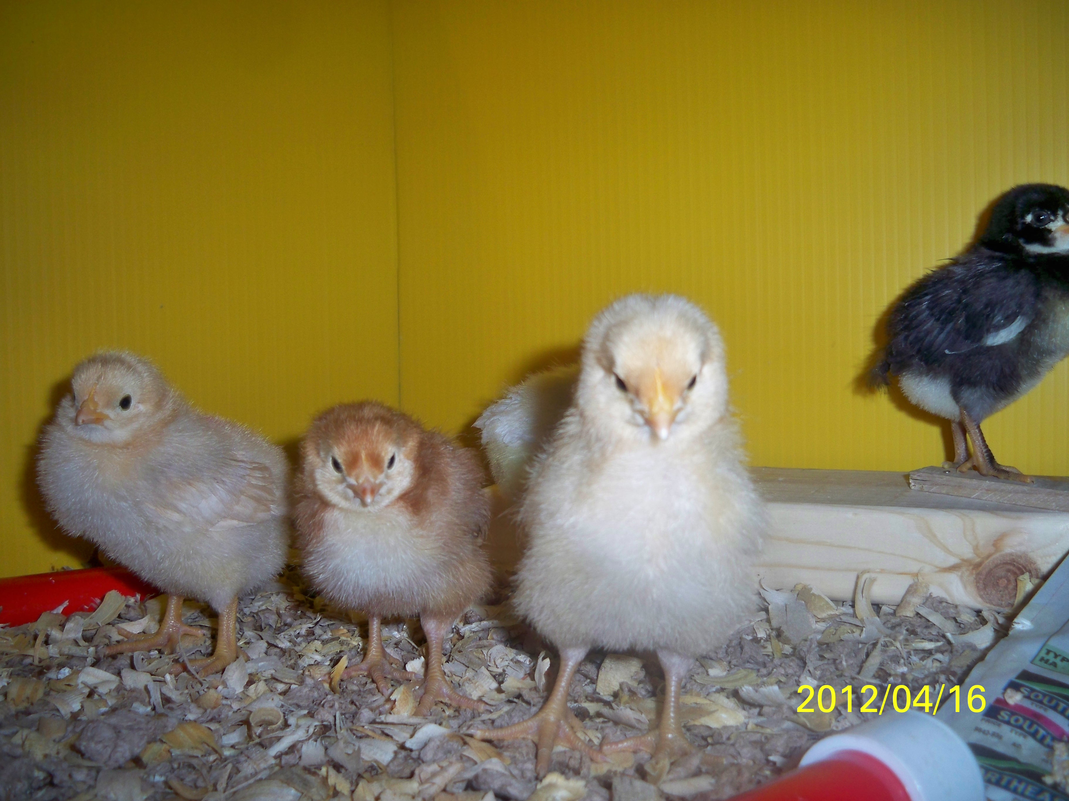They sure like the camera