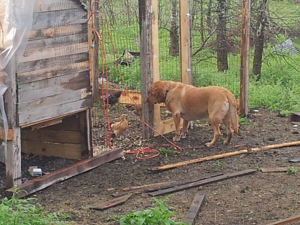 They were both curious.