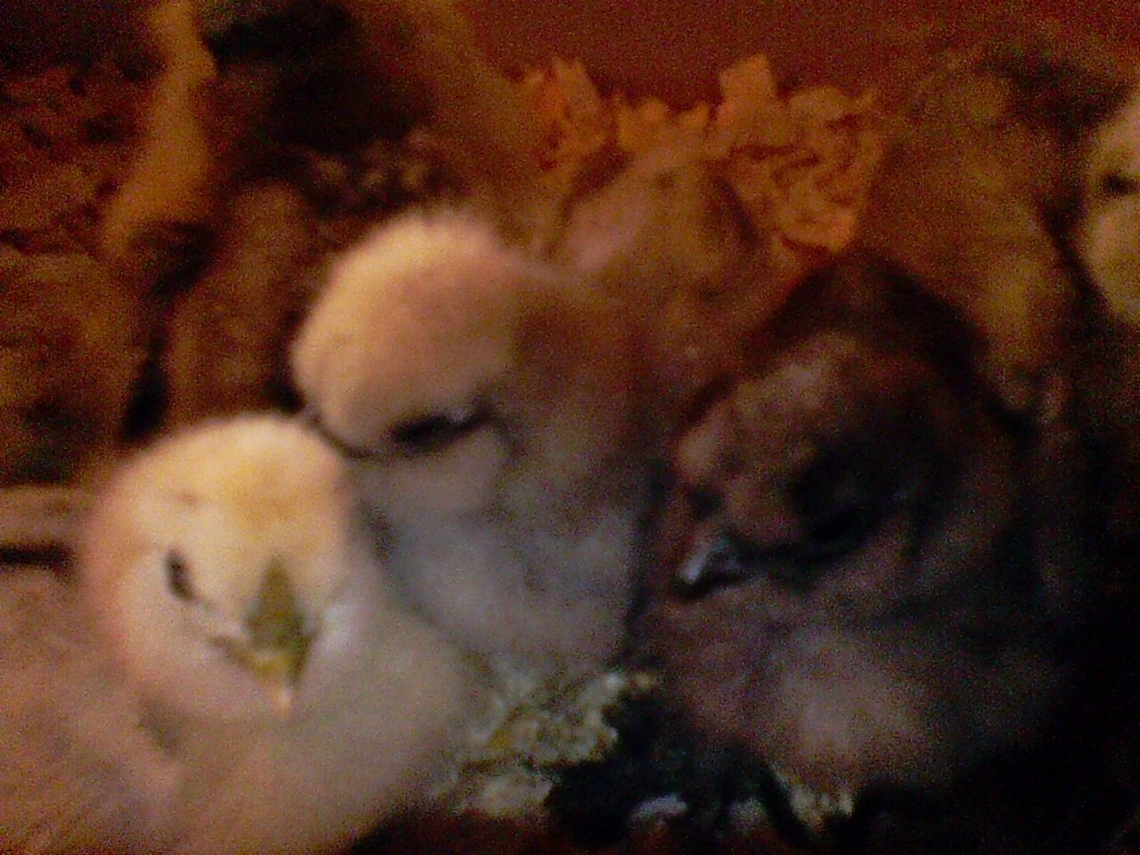 They were having funn...