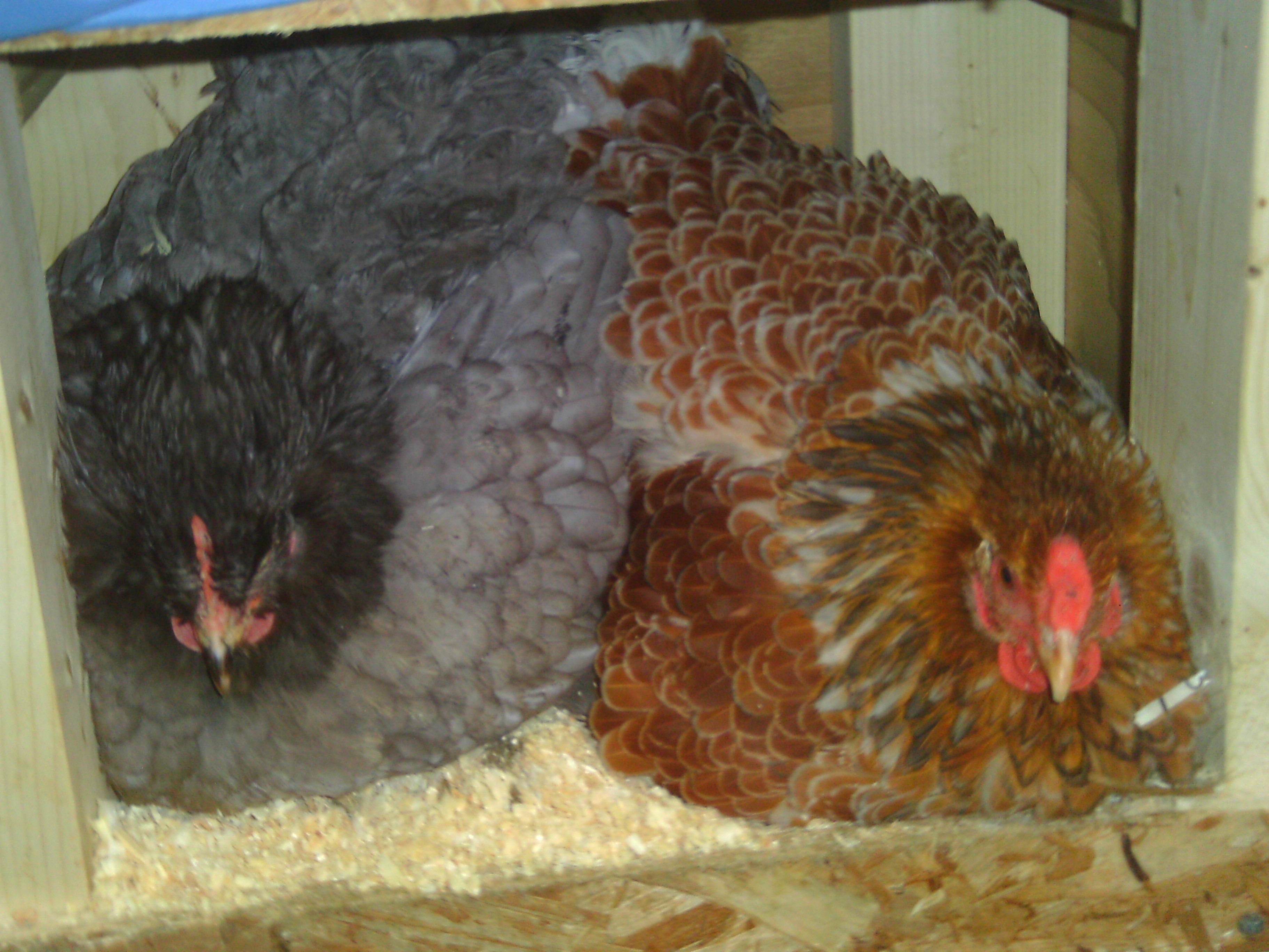 they were soooo not happy with me!