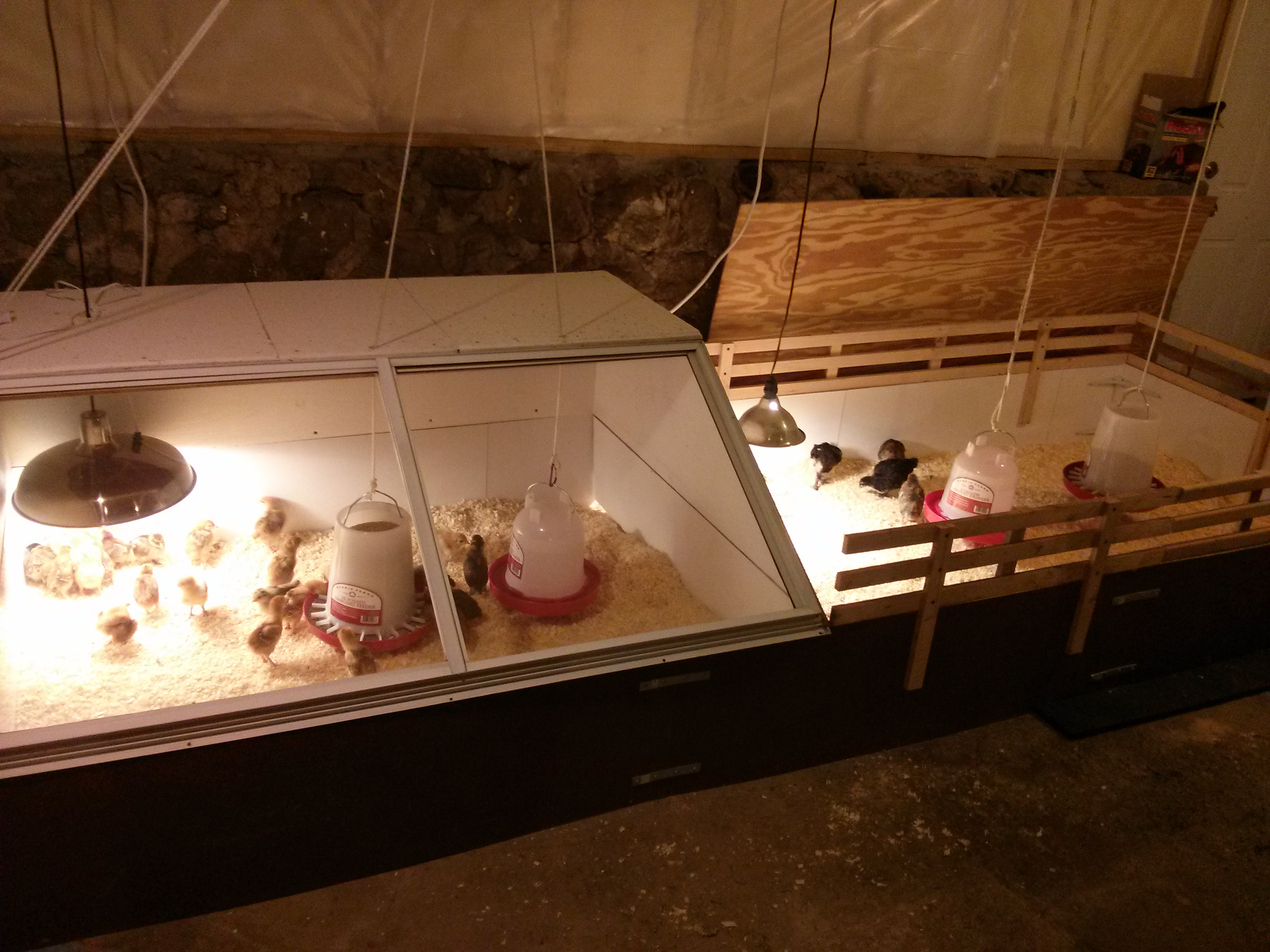 This brooder is two sections that can be opened to make one large brooder.  We have ceramic bulbs for heat and use night lights on a timer to regulate lighting.  Works beautifully!
