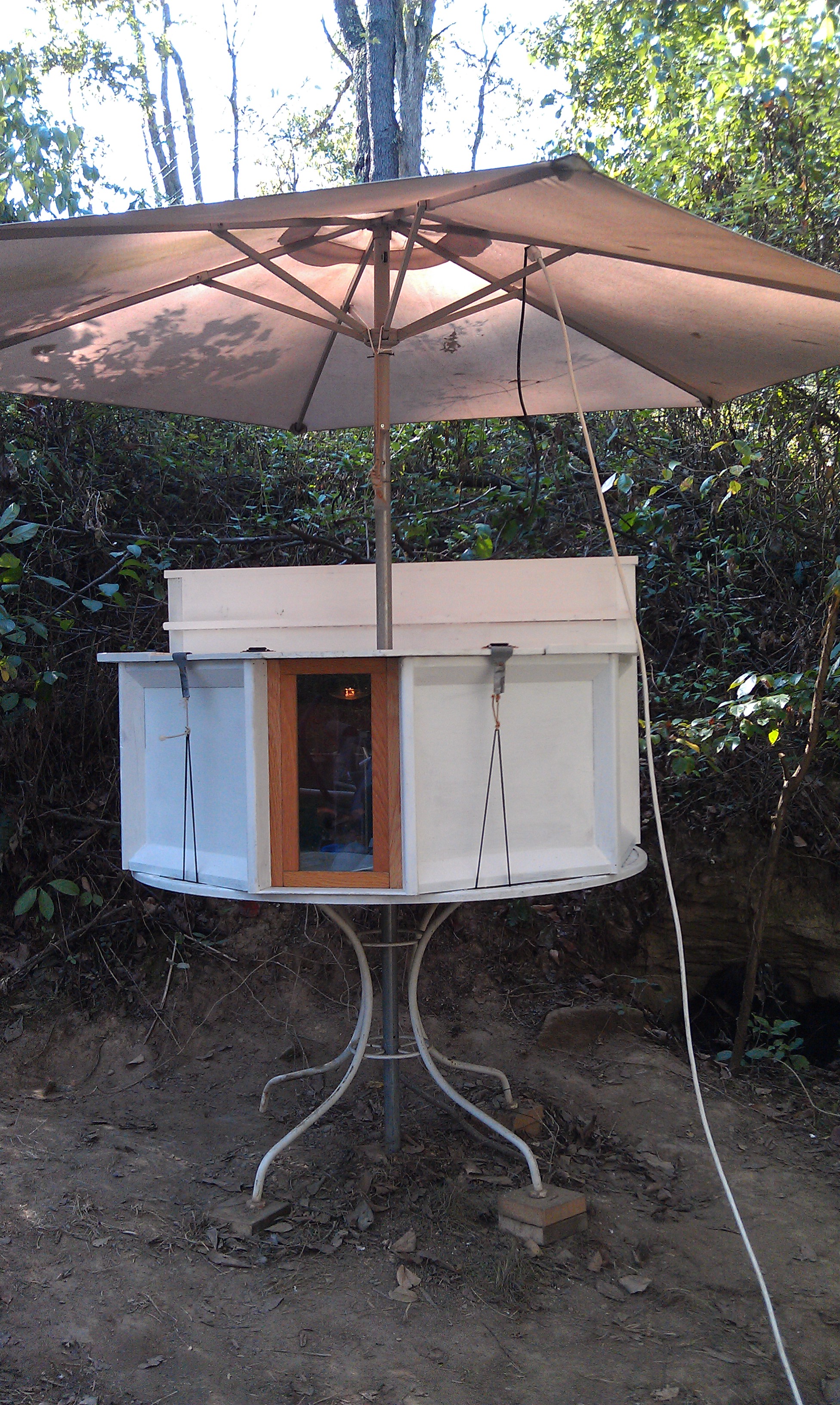 This brooder was built quickly, but I still designed it to be multi-purpose and highly portable -- the entire flock will be introduced to a new location, by moving all but the table and umbrella onto a post within their permanent home (which will most probably be located high in the wooded valley between the north side of the garden and the middle pasture above the barn).