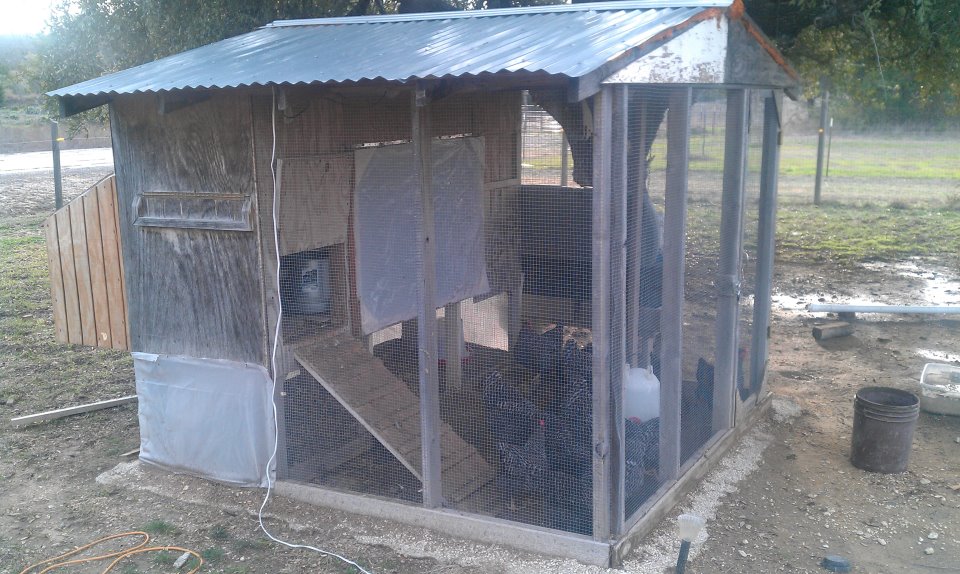 This chicken coop is 4 years old and desperately needs a coat of paint, but it is 3 stories with a place on the bottom in the back to introduce new chickens to the flock.  It has two big coops which is the third floor, notice the little framed door on the side where we can collect the eggs.  The other big coop can be accessed from inside the house.  The big door on the inside opens the coop up completely for cleaning.  We put plastic on this door and around the bottom in the beginning of winter and use a heat lamp inside the coop.  If it gets below 20 we put plastic around the entire coop. Boy does it get smelly.