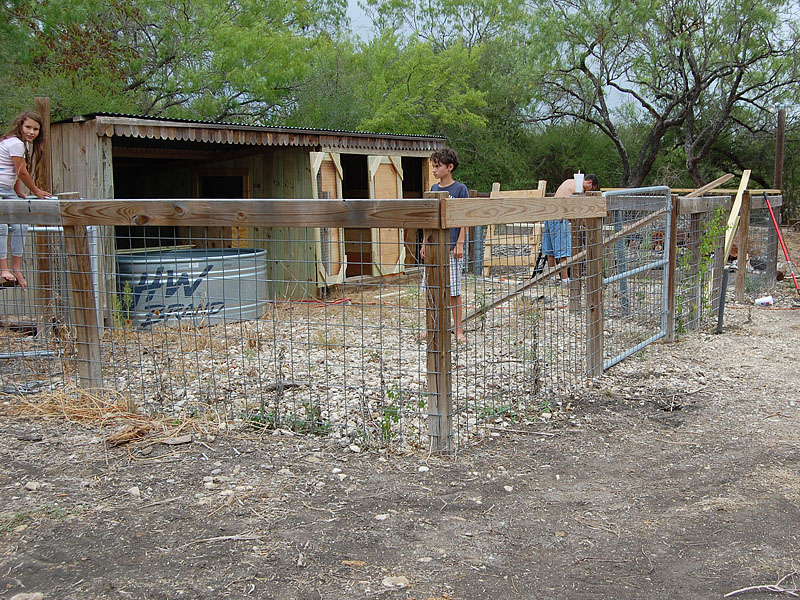 This gives a general idea of what the goat pens look like.