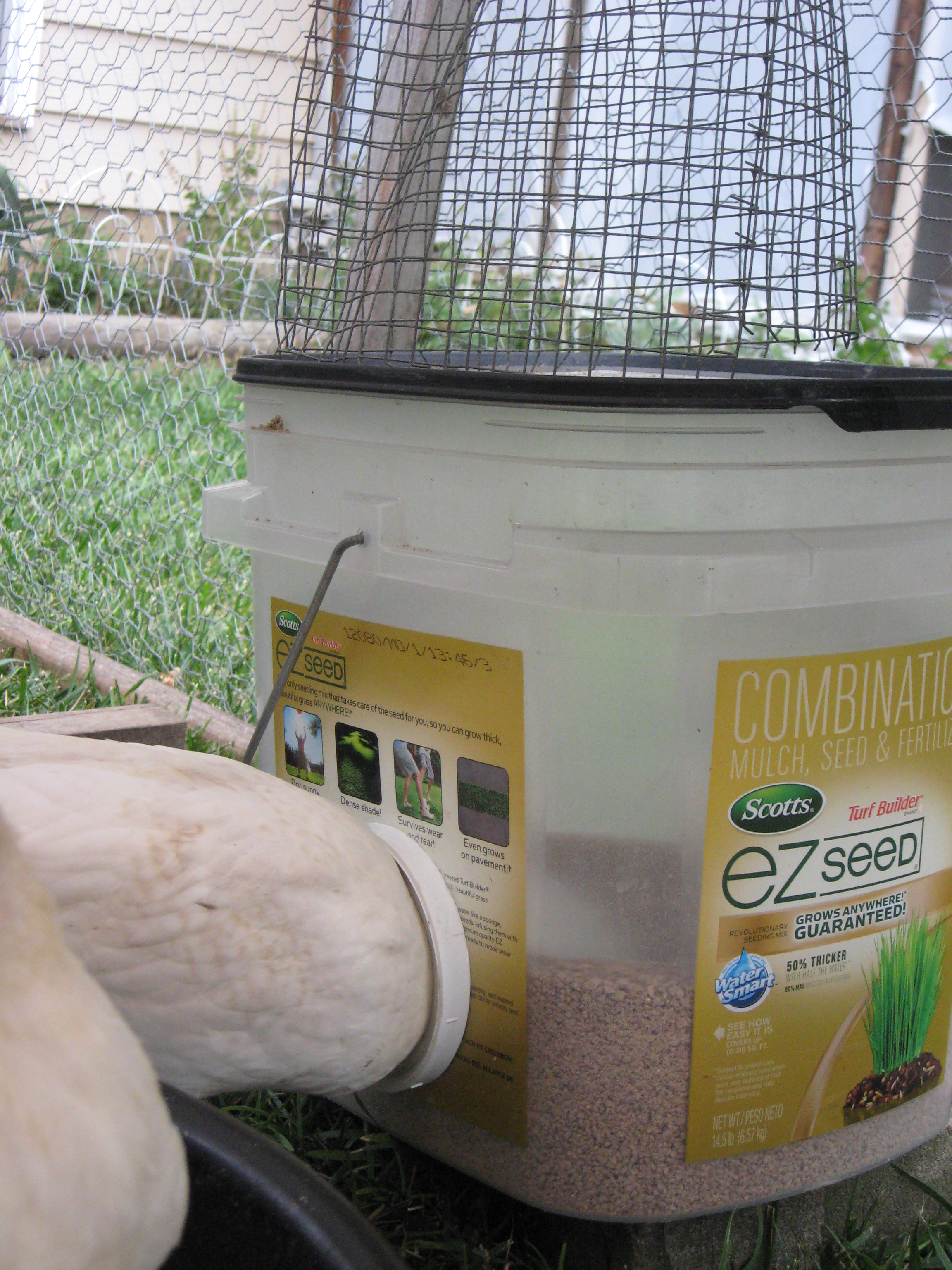 This home-made feeder cuts down on waste, because the hens must put head INTO the feeder. Cost: free square bucket, a PVC elbow & some PVC glue. (Maybe $4 tops)