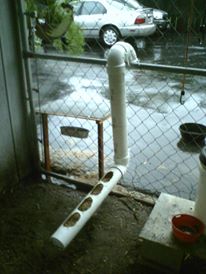 This is a feeder my son and I made works real good around 36 $