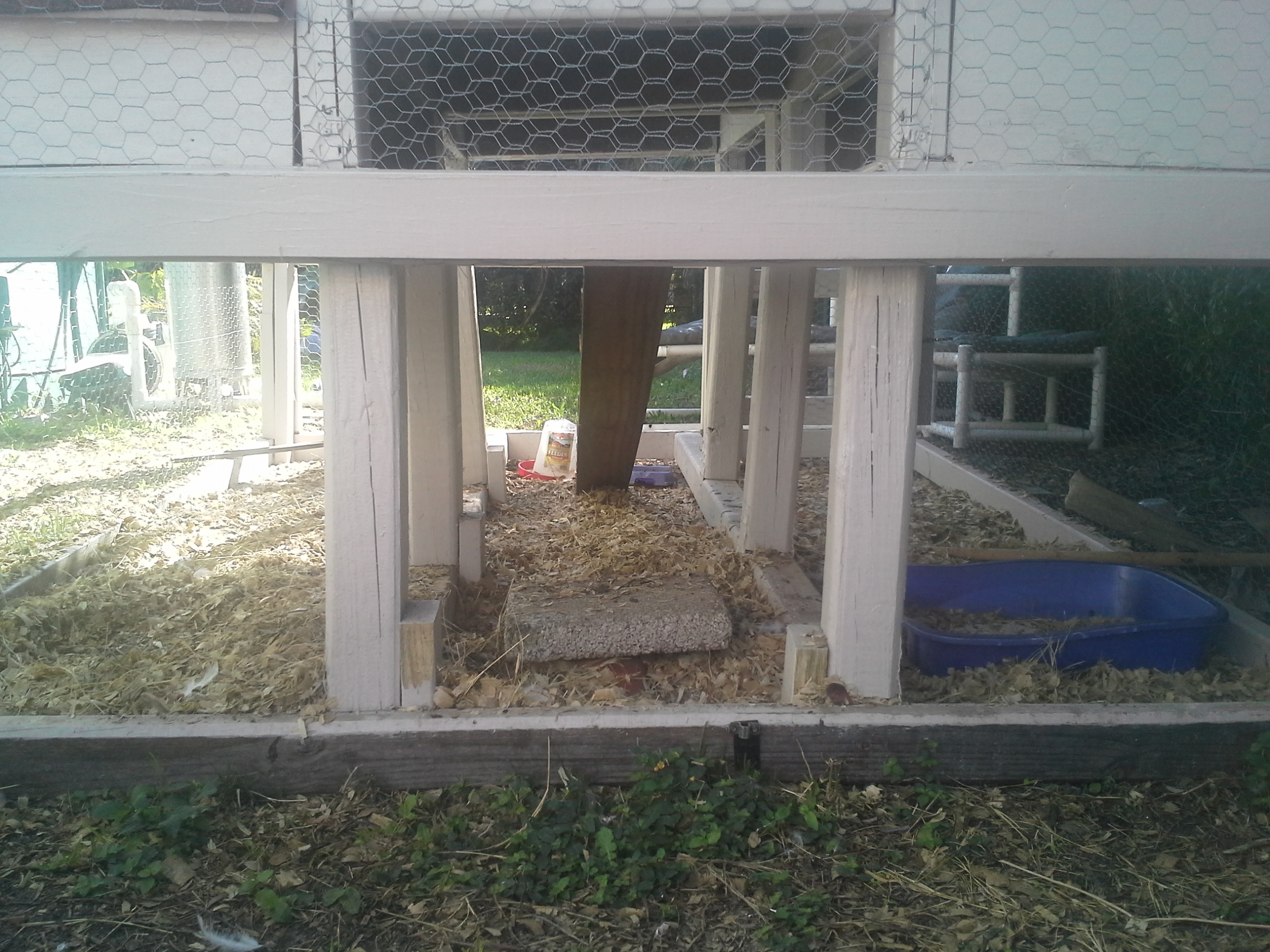 This is a good shot of the entire 10 x 10 run the coop is built over.