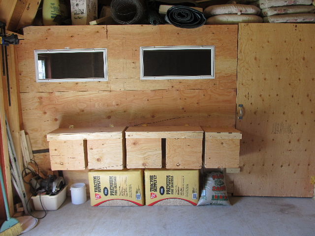 this is a pic of my nesting boxes which are on the inside of the shed area vs inside the coop area
