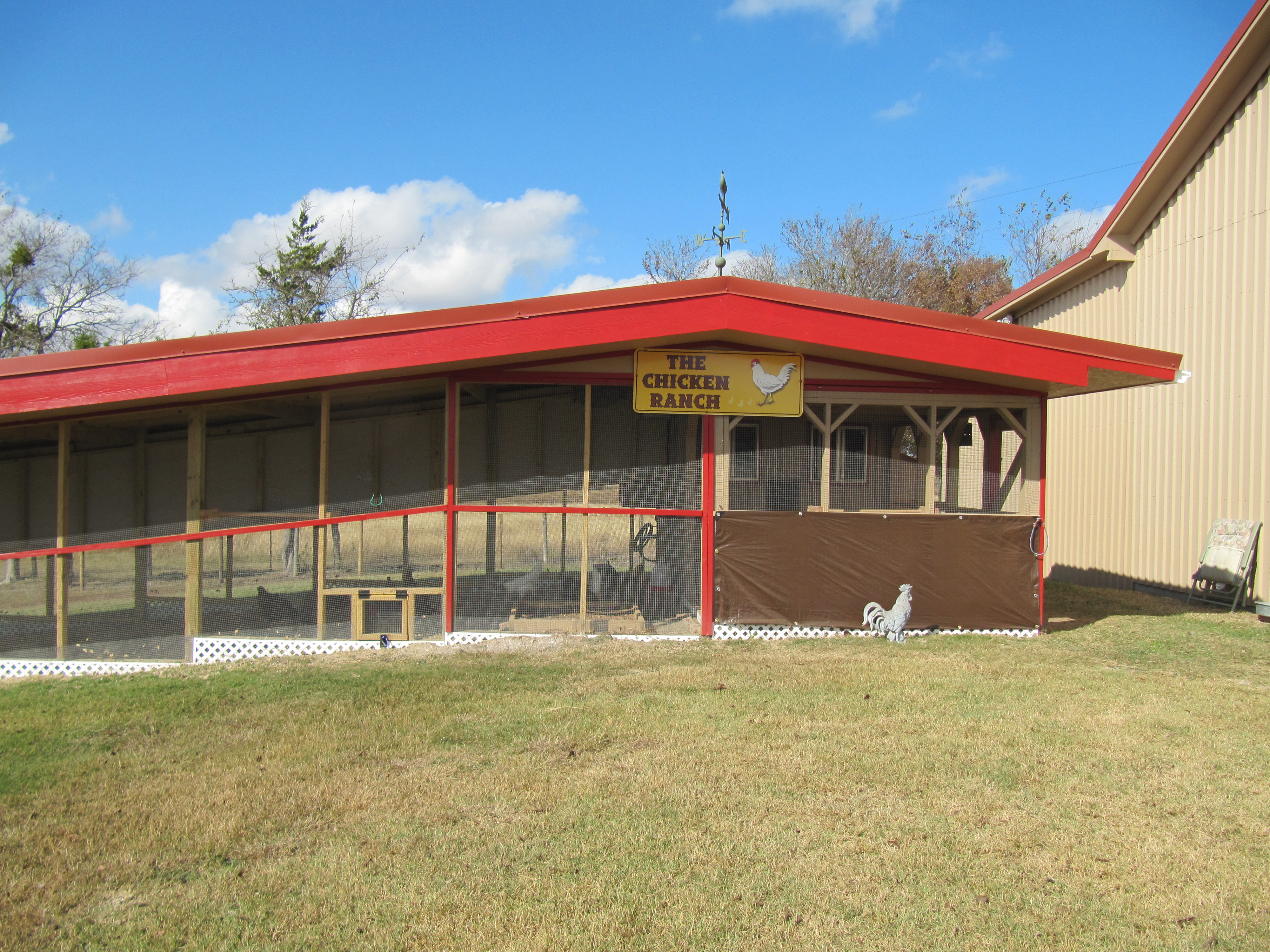 This is a pic that shows the hen door on the left and their buddy rooster