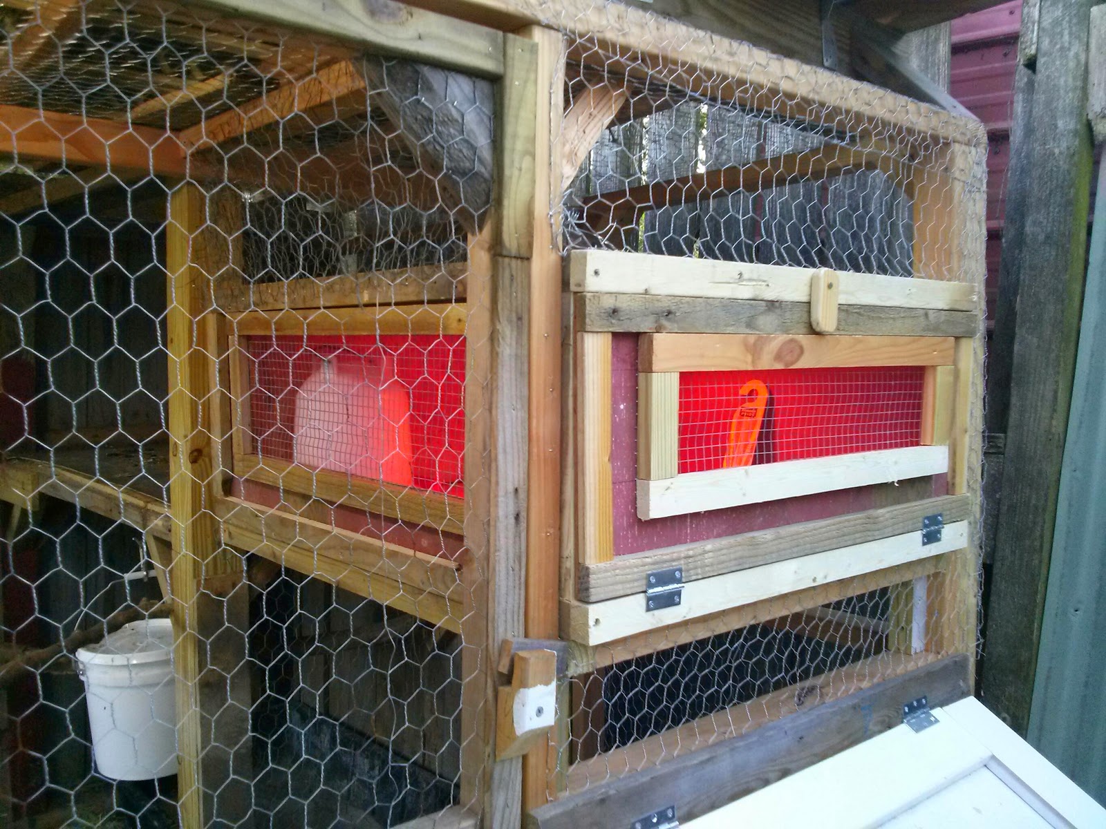 This is a view from outside the coop.