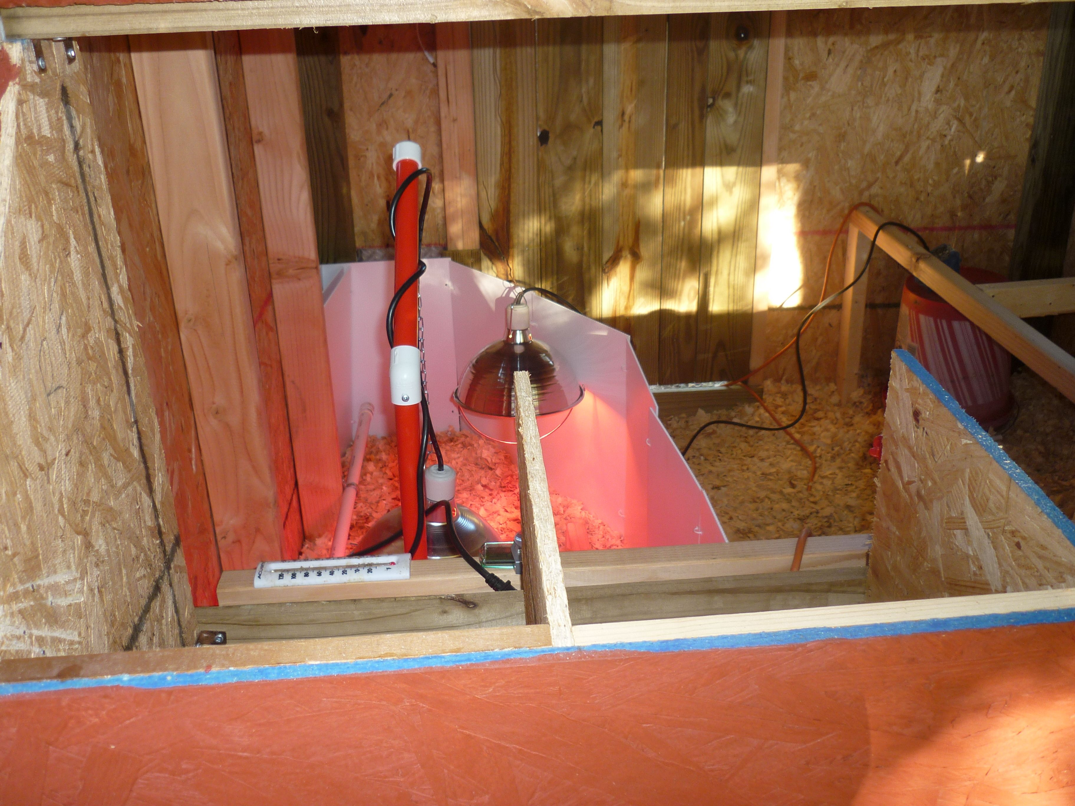 This is a view of the inside of the coop from the nesting boxes.