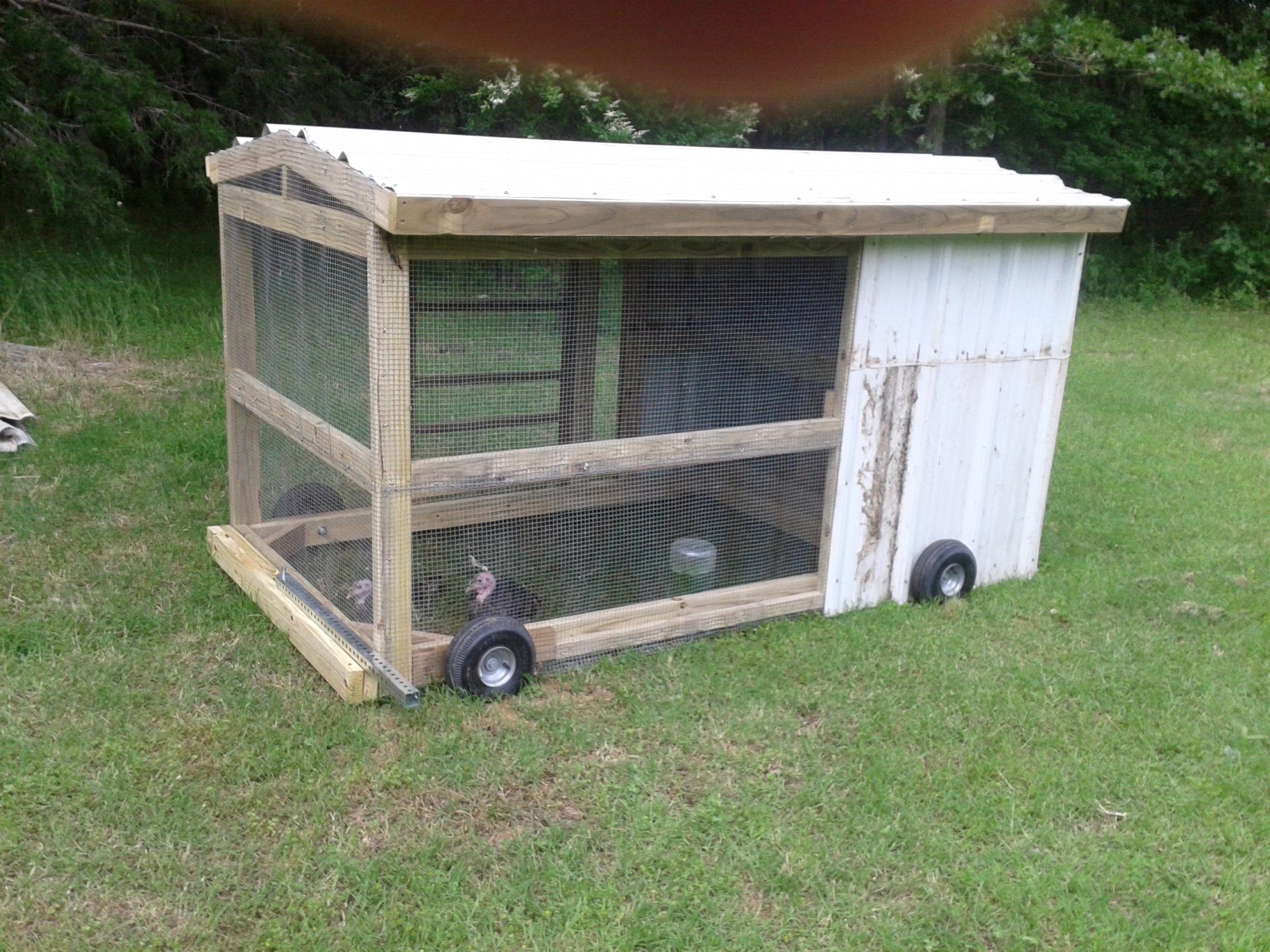 This is actually a Chicken Tractor, but I refer to it as my turkey run.