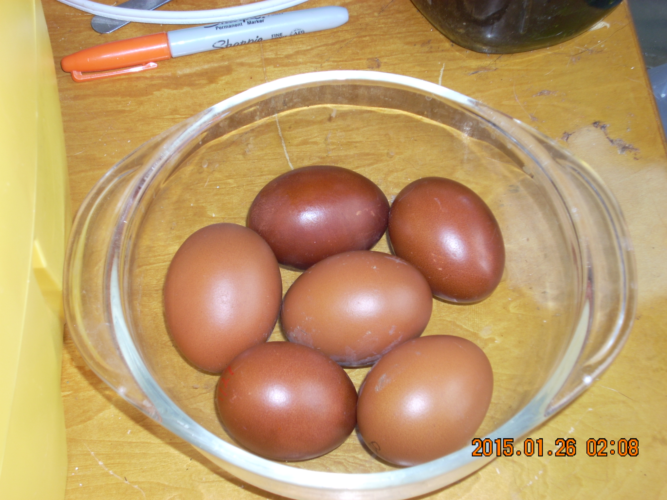 This is an example of this spring's eggs.  Taken from my Columbian Marans.  Taken in natural light, but the flash still went off and washed them out a bit.  
  I'm currently hatching eggs for myself.  Generation 8.  Will have chicks on the ground by Feb1st 2015.