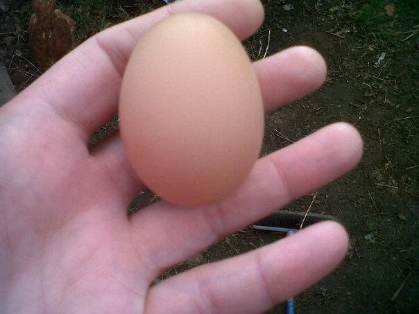 This is Belles first egg on easter sunday xxxx