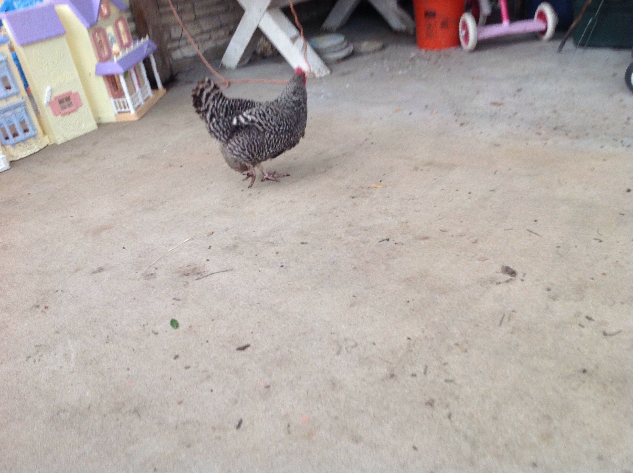 This is black diamond