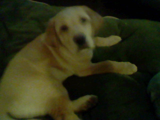 This is Charlie.