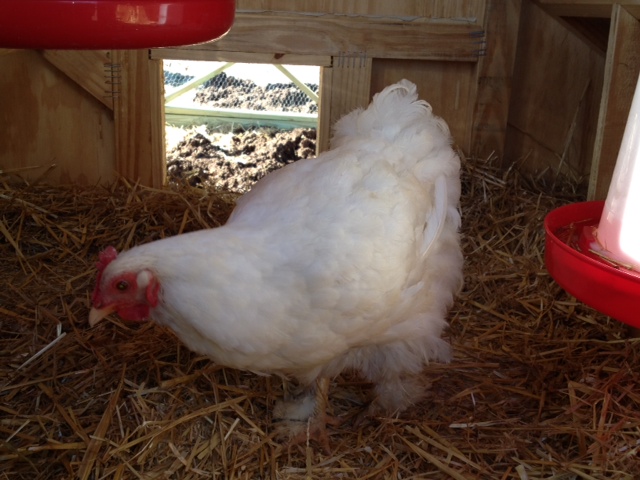 This is Ethel