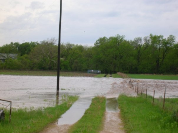 This is from the same day, that's our neighbor's driveway, a creek is all the way at the very end.