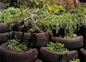 This is how I'm doing my garden next year. I done this for my watermelon this year and it worked awesome.