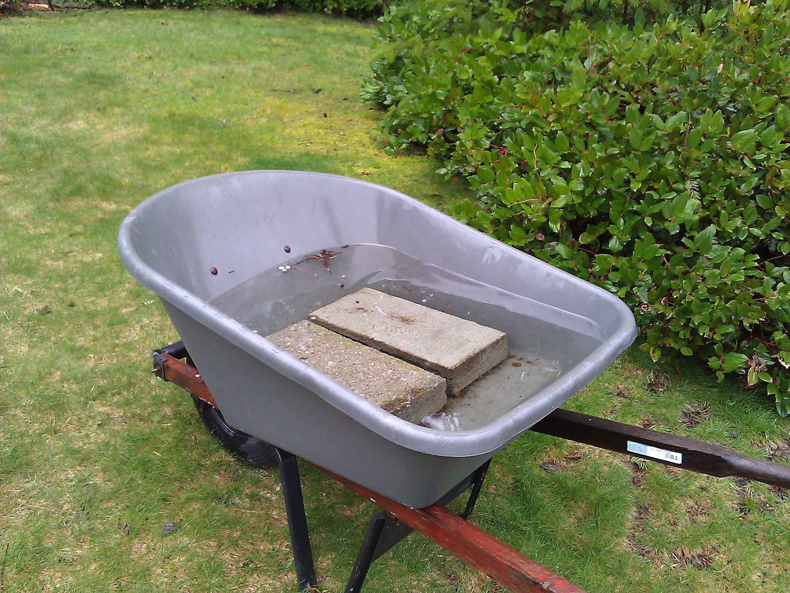 This is how much rain we got in the last 5 days (25-30 March, 2012)