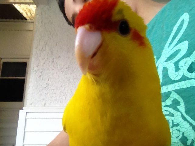 this is kiki