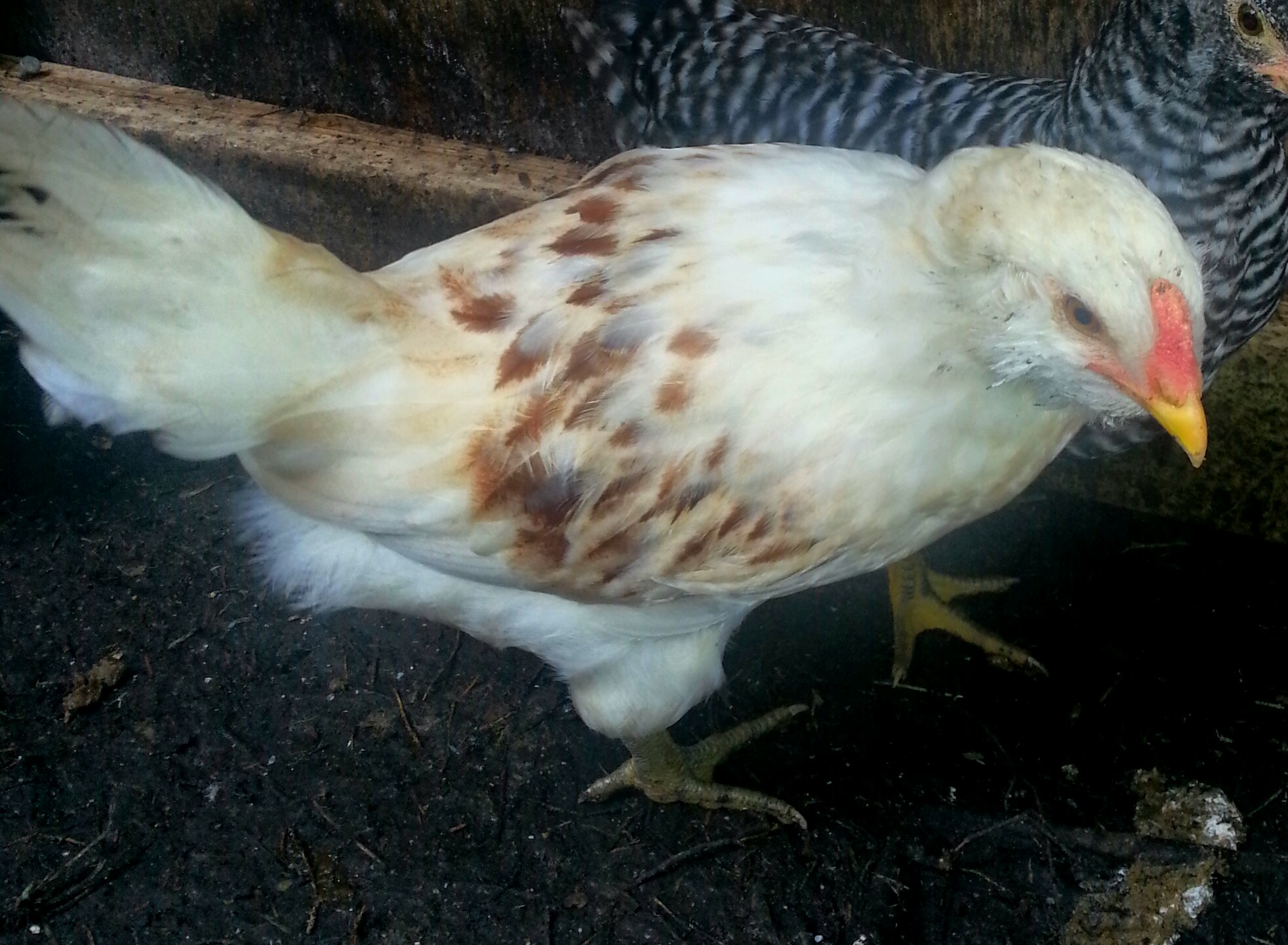 This is Liddy.