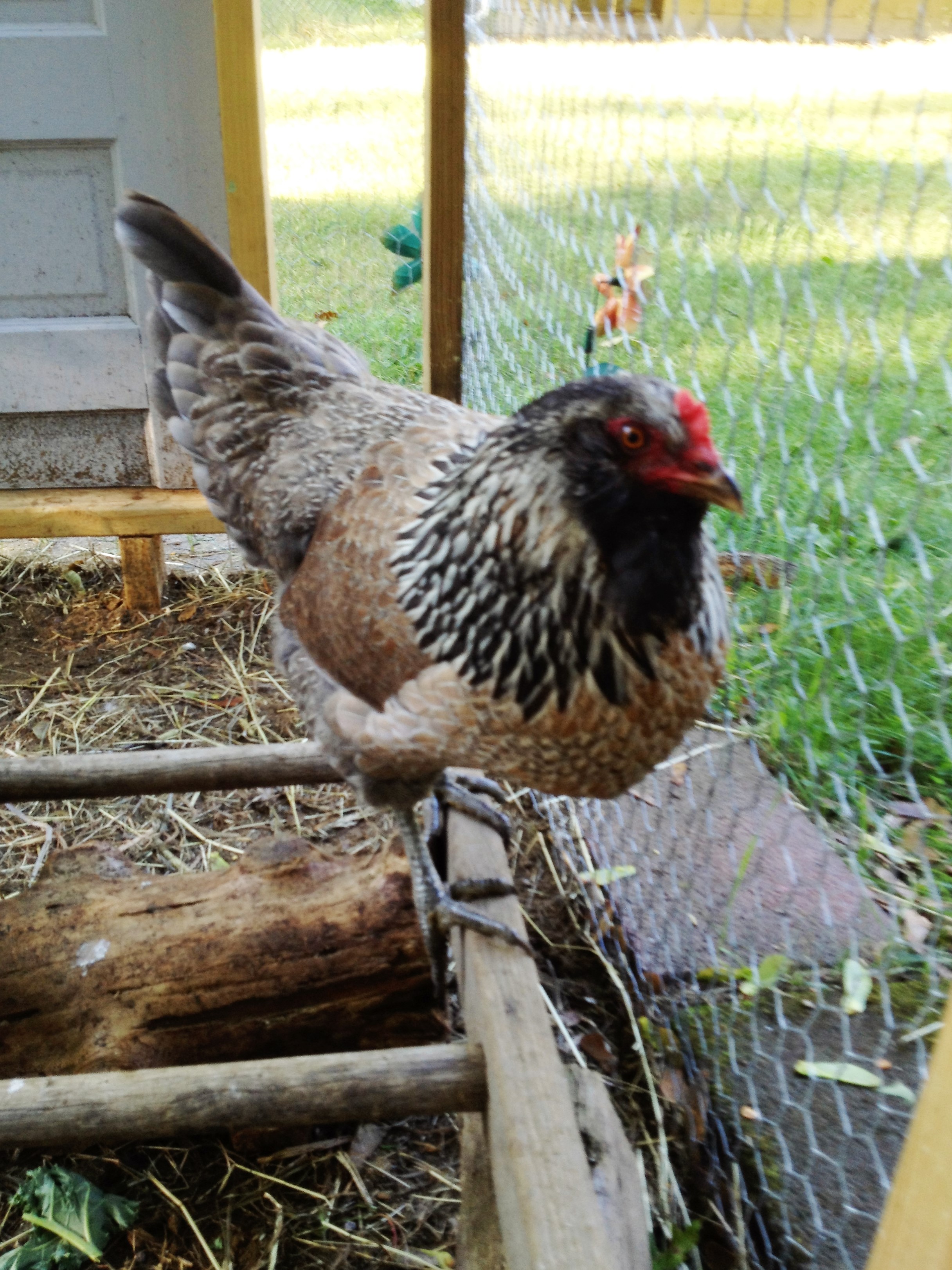 This is Margarette.