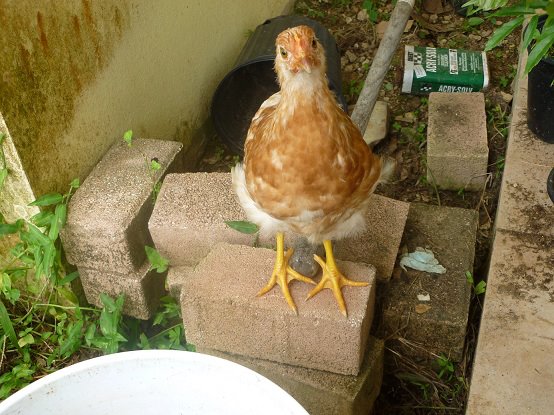 This is May  looking at the camera