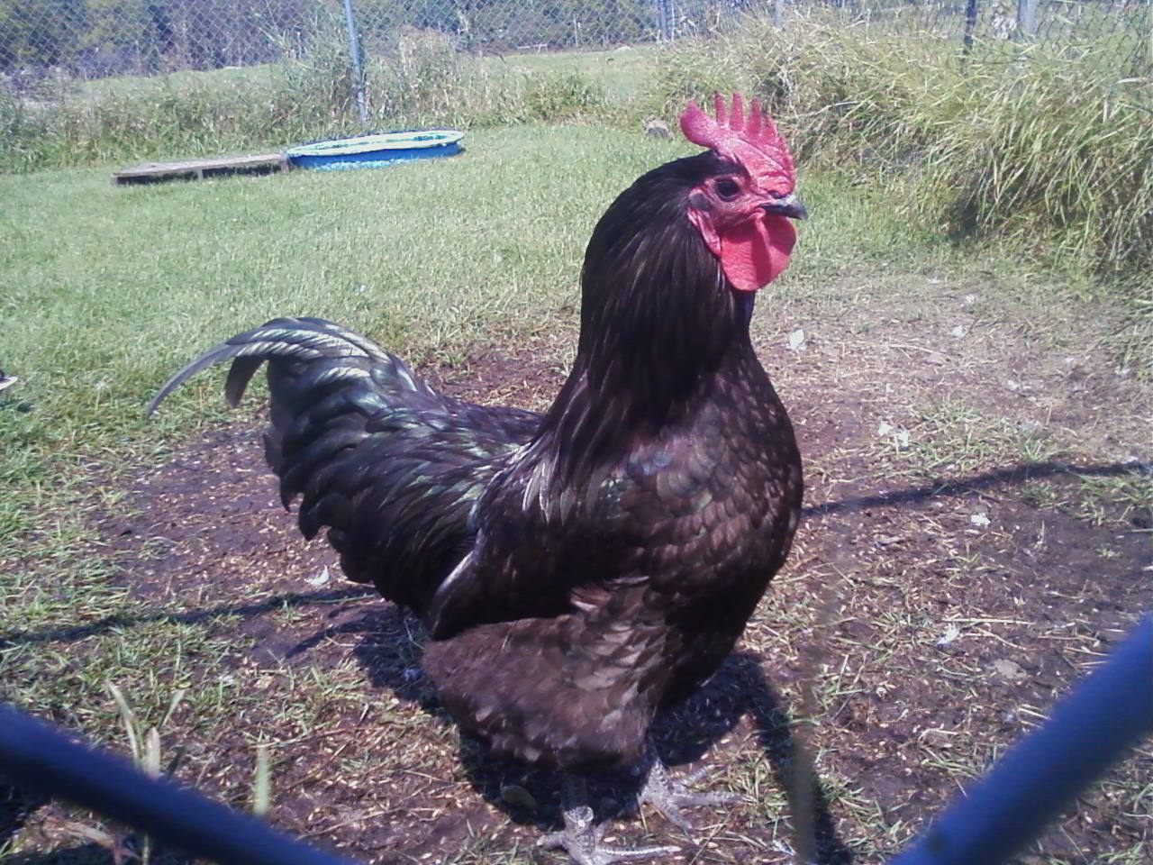 This is Mick from Duane Urch lines.