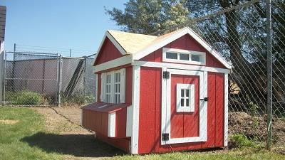 This is my 4x4 Winchester Chicken Coop that has a clean out drawer, egg box, 3 perches, and an easy access door