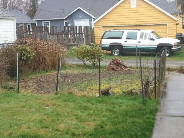 This is my backyard from the porch view. The chicken house will take up the right hand rear corner.  Call this Day 1