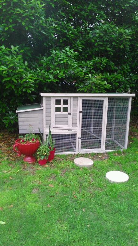 This is my chickens current COOP. its bigger than it looks and we did drill some extra holes for more ventilation
