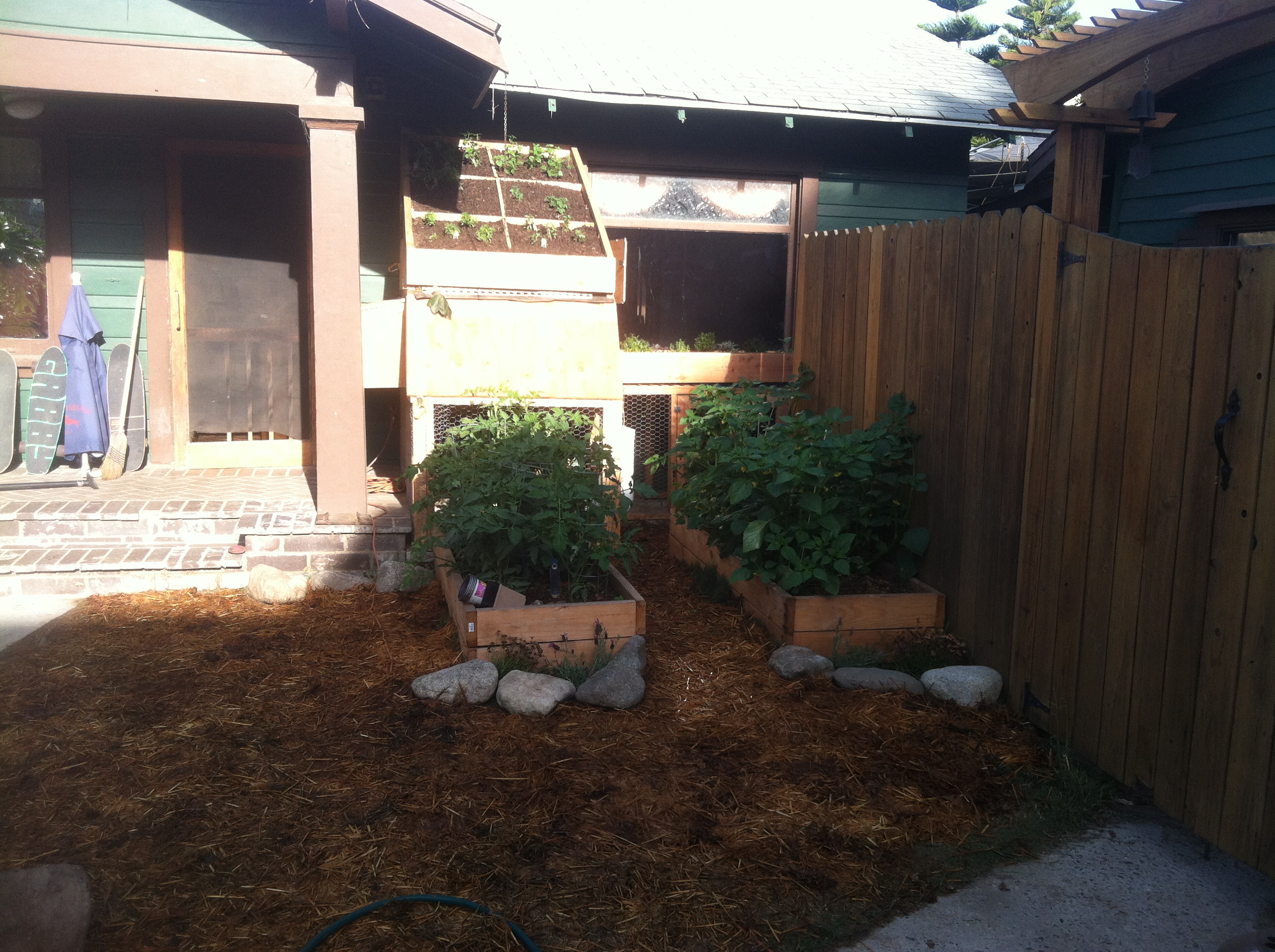 This is my coop I built from free recycled lumbar I found on Craigslist.