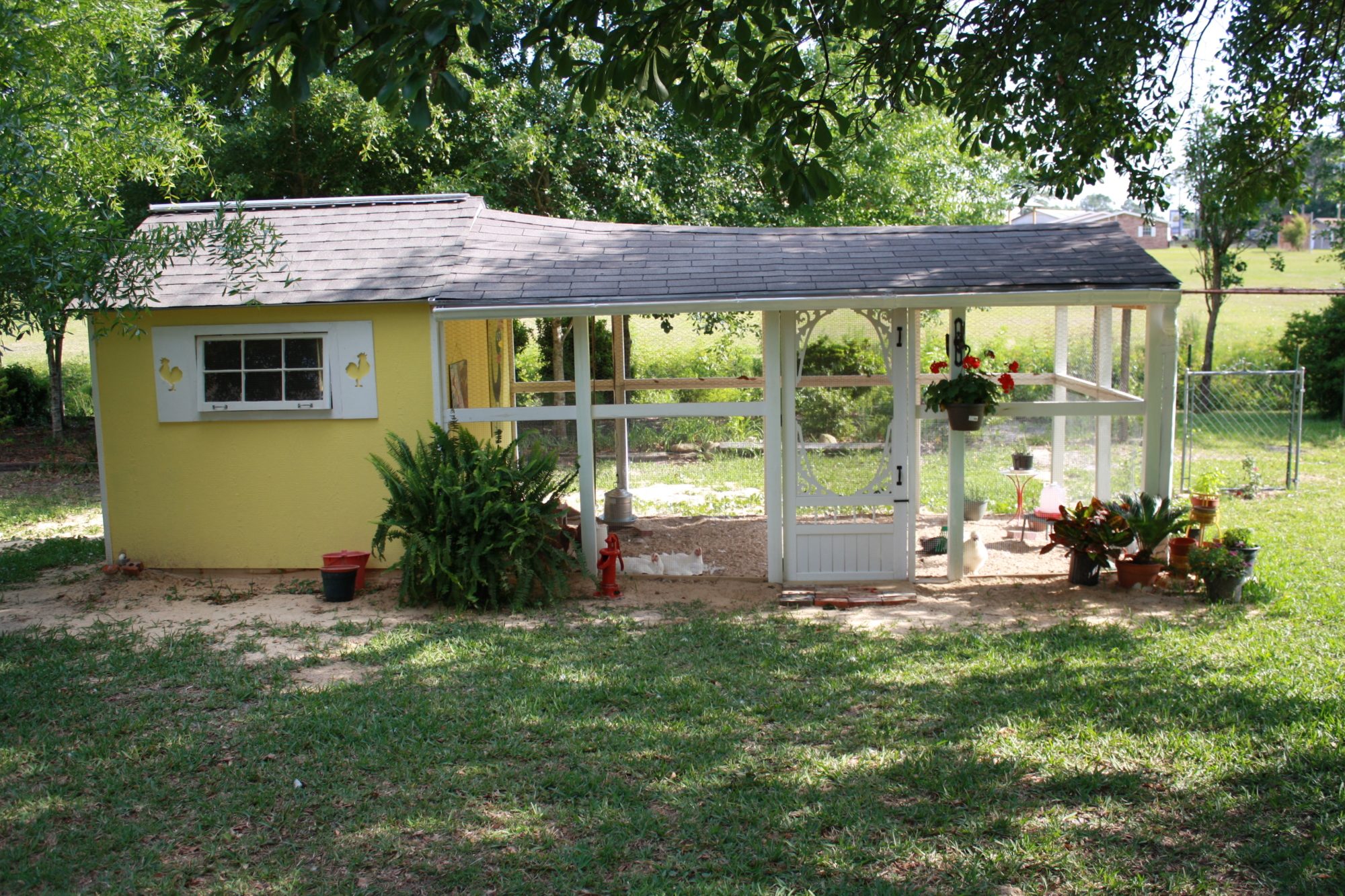 This is my first time uploading pictures..please forgive if they are not quite right...this is the coop that we built for my parents.  We need suggestions on a name for the coop.