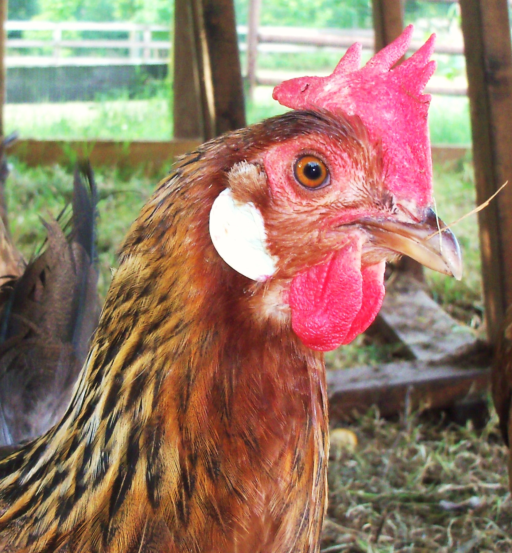 This is my good side