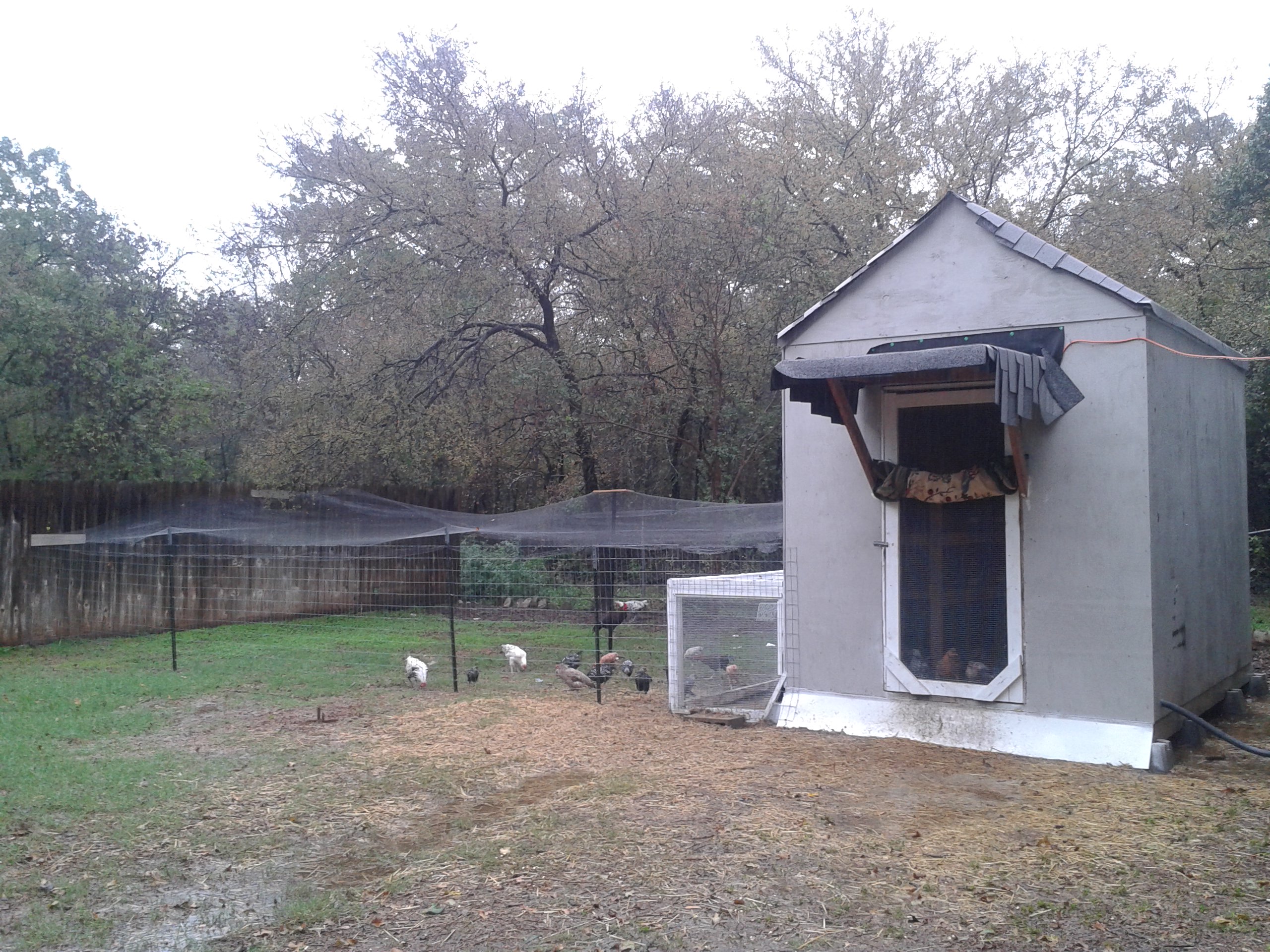 This is my large egg-layer coop.