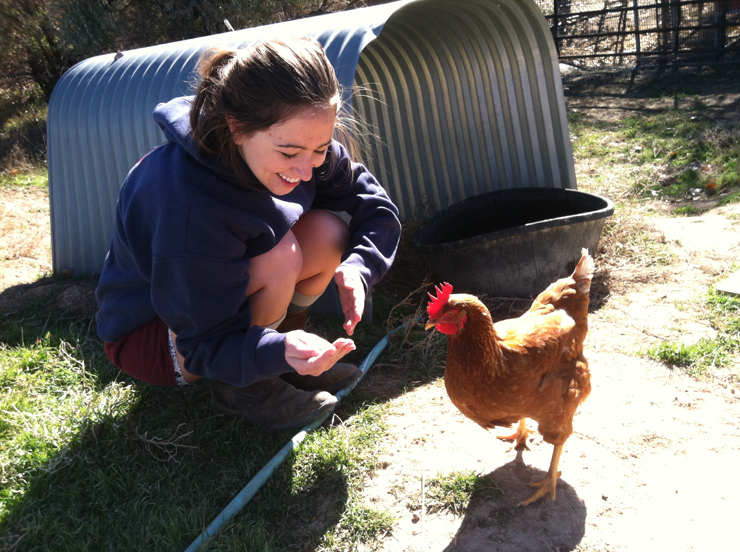 This is my Niece, Cassie, from Texas playing with Star (Red Star).