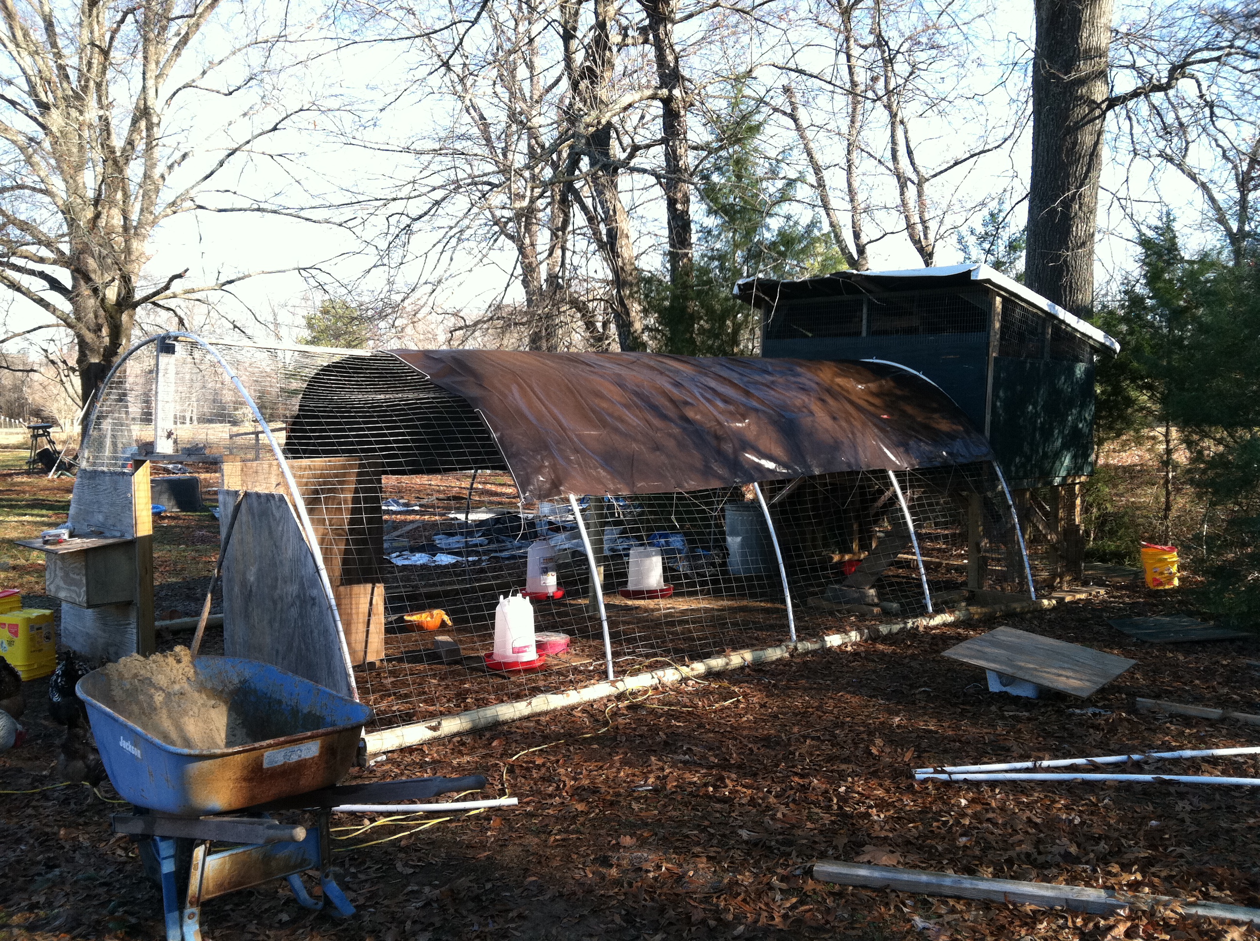 This is my run and coop put together. I have covered the entire top of the run with a heavy tarp to block sun and rain, but still allow for the breeze. The run is 12x20 feet and the coop is 6x8 feet.