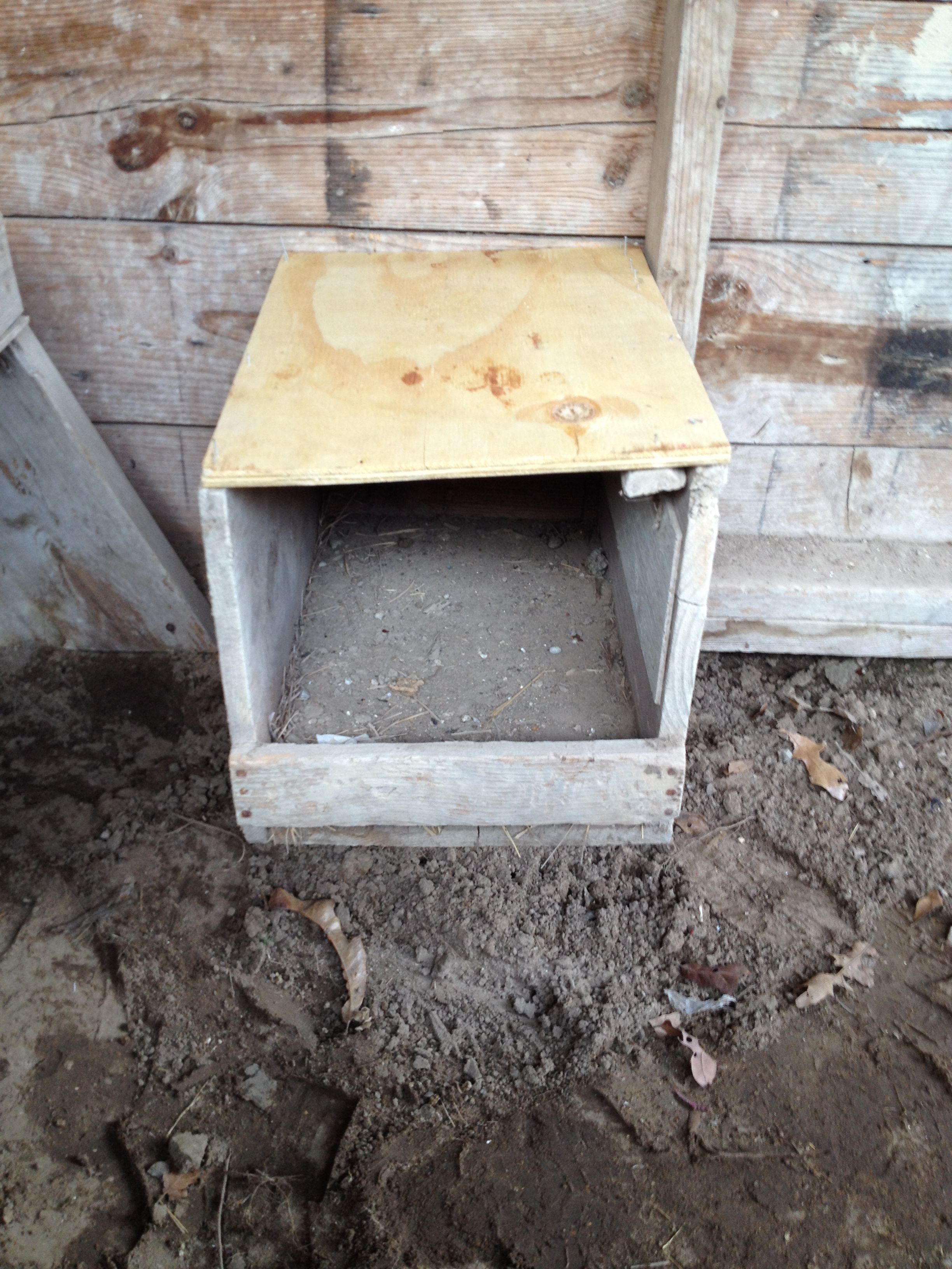 This is one of four nesting boxes in the coop. It may be obvious, but I replaced the top of the box while cleaning out the coop.