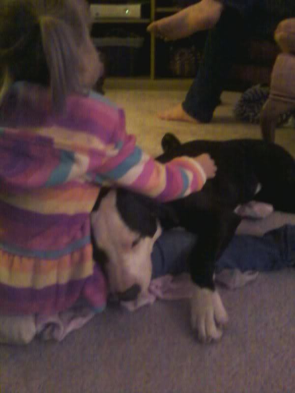 This is one of my favorites. My niece, Gabby, with my pit mix Murphy. Murphy is a real people pleaser and has yet to meet a person she didn't love, even if usually it is little too much.