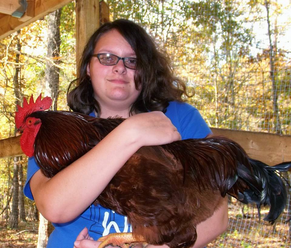*
This is one of the very first ones we purchased in May.  It was supposed to be 'sexed' already as a female - looks like Reba isn't Reba anymore.