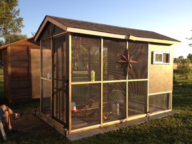 This is our coop/run built July 2012.  Not quite finished.