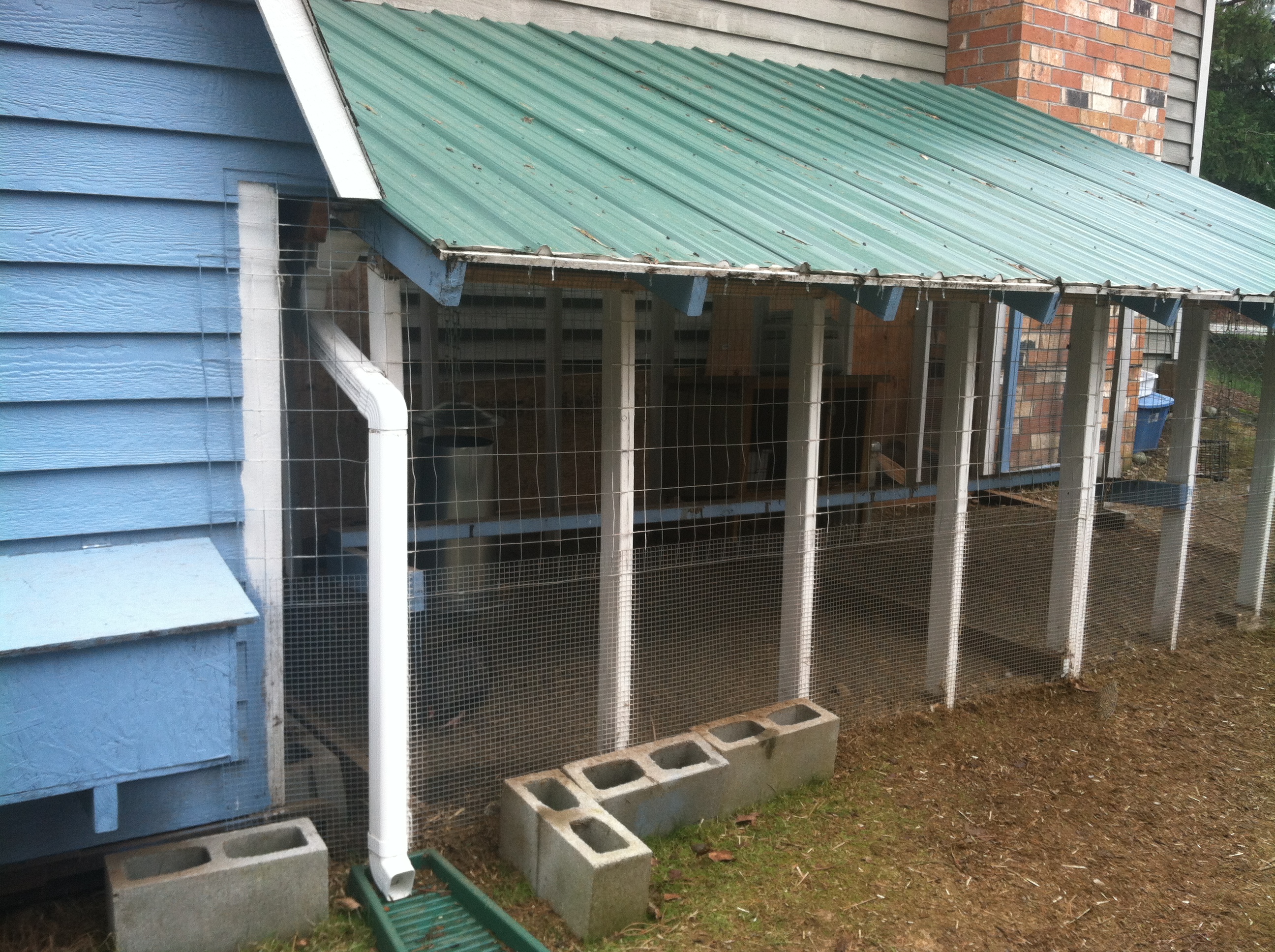 This is our covered run; It is 4' tall on the short side and 8' tall on the high side, total size is 8x16'. The coop roof had rainwater running off into the run, so my DH installed a rain gutter on that side of the coop.